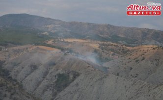 Çorum'da çıkan yangında 10 dekar alan zarar gördü