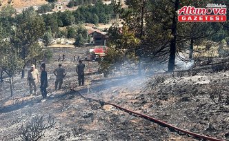 Gümüşhane'deki örtü yangını söndürüldü