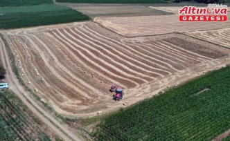 Omuz omuza veren üniversite mezunu genç çift, çiftçilik yapıyor