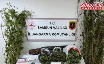 Samsun'da evinde 9 kilo 660 gram esrar ele geçirilen zanlı yakalandı