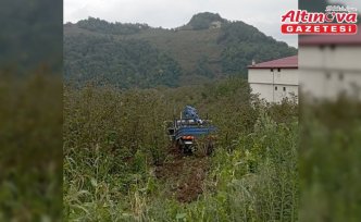 Samsun'da fındık bahçesine yuvarlanan kamyonetteki 3 kişi yaralandı