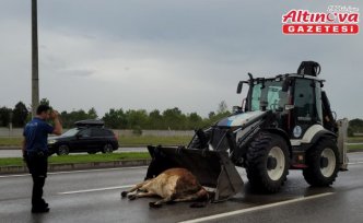Samsun'da trafik kazalarında 3 kişi yaralandı
