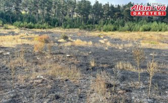 Türkeli'de çıkan örtü yangını söndürüldü