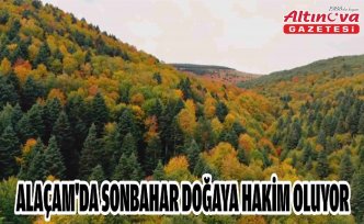 Alaçam'da sonbahar doğaya hakim oluyor