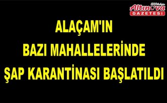 Alaçam'ın bazı mahallelerinde şap karantinası başlatıldı