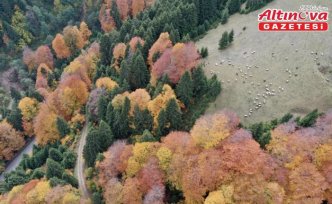 Giresun'da sonbahar renkleri hakim oldu