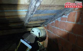 Karabük'te evin çatı katındaki yaban arısı yuvası itfaiye ekiplerince çıkarıldı