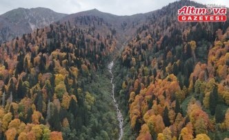 Rize'de Ayder Yaylası'nda sonbahar renkleri hakim oldu