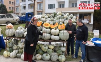 Tarihi Boyabat Panayırı başladı