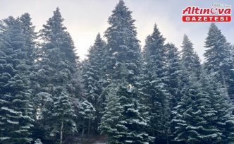 Bolu'nun yüksek kesimlerine kar yağdı