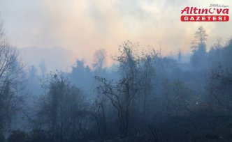 Artvin'de örtü yangınına müdahale ediliyor