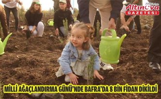 Milli Ağaçlandırma Günü’nde Bafra’da 8 Bin Fidan Dikildi
