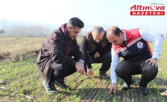 Pazar ilçesinde toprak hazırlığı ve ekimler sürüyor