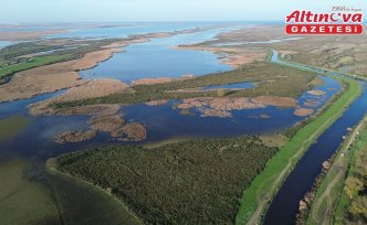 Samsun Kızılırmak Deltası'nda suları çekilen göller sonbahar yağışlarıyla canlandı