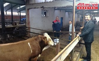 Samsun Tarım ve Orman Müdürü Yılmaz, Ladik'te besicileri ziyaret etti