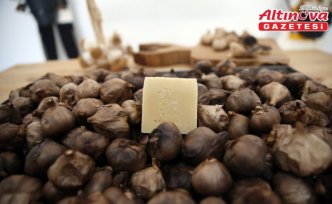 Taşköprü siyah sarımsağından sabun üretildi