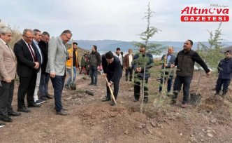 Tokat'ın ilçelerinde Milli Ağaçlandırma Günü'nde fidan dikim etkinliği düzenlendi