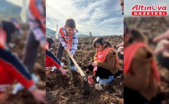 “81 İlde 81 Orman“ projesi Muğla'da 20 bin fidanla sürüyor