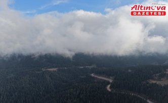 Ilgaz'da çam ağaçlarıyla bütünleşen sis dron ile görüntülendi