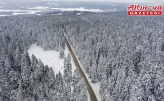 Bolu'da karla kaplı çam ağaçları havadan görüntülendi