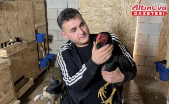 Mandıra kuran bedensel engelli genç, tekerlekli sandalyeyle ahıra girip hayvanlarını besliyor