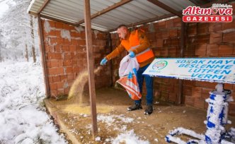 Tokat'ta yaban ve sokak hayvanları için doğaya yem bırakıldı