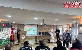 19 Mayıs ilçesinde kahverengi kokarca zararlısı ile mücadele çalışmaları sürüyor