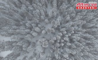 Kastamonu'nun yüksek kesimlerinde kar yağışı etkili oldu