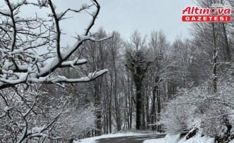 Gölyaka'nın yüksek kesimleri beyaz örtüyle kaplandı