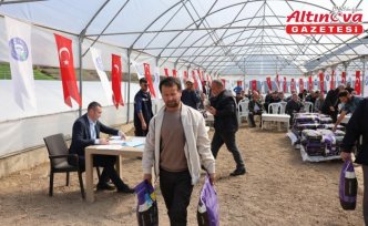 Vezirköprü'de çiftçilere yonca tohumu desteği