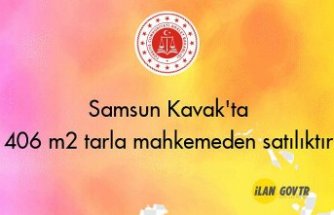 Samsun Kavak'ta 406 m² tarla mahkemeden satılıktır