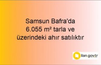 Samsun Bafra'da 6.055 m² tarla ve üzerindeki ahır icradan satılıktır