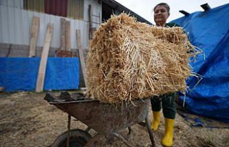 Şehir hayatından sıkılan kuaför kadın, köyünde tarım ve hayvancılığa başladı