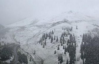 Artvin'in yüksek kesimlerinde kar etkili oldu