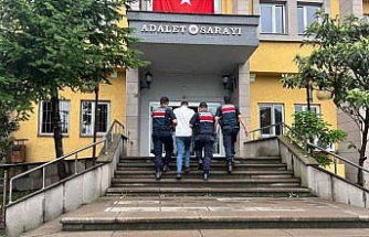 Artvin'de uyuşturucu operasyonunda yakalanan zanlı tutuklandı