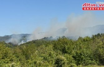 Bartın'da ormanlık alanda çıkan yangına müdahale ediliyor