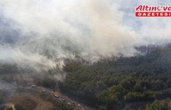 Bolu'da çıkan orman yangınına müdahale ediliyor