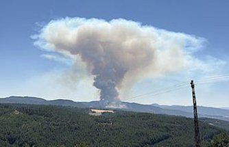 Bolu'da çıkan orman yangınına müdahale ediliyor