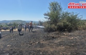 Düzce'de çalılık alanda çıkan yangın söndürüldü
