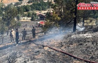 Gümüşhane'deki örtü yangını söndürüldü
