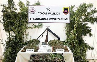 Tokat'ta 4 kilo 578 gram kubar esrar ele geçirildi
