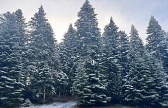 Bolu'nun yüksek kesimlerine kar yağdı