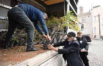 Konya'da çiftçiler kuraklığa karşı sumak üretimine özendiriliyor