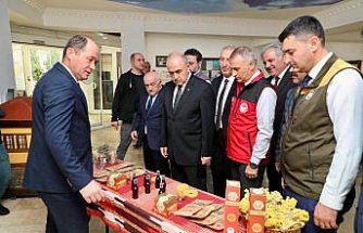 Ordu'da “Arı Kolonilerinin Hastalıklarla Mücadele ve Tedavisi Projesi“ tanıtıldı