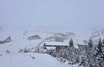 Ordu'nun ilçelerindeki yüksek kesimlere kar yağdı