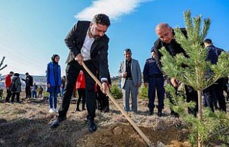 Taşköprü'de Milli Ağaçlandırma Günü'nde 600 fidan dikildi