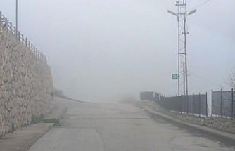 Amasya'da sis etkili oldu