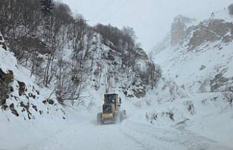 Artvin'de çığ meydana geldi