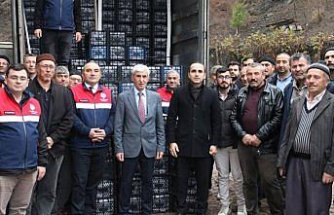 Çorum'da çiftçilere çilek fidesi ile ceviz fidanı dağıtıldı