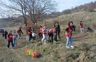 Genç Kızılay gönüllüleri Havza'da fidan dikti